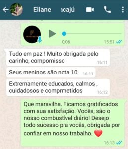 Print de conversa no WhatsApp da cliente Eliane elogiando a equipe da Fernandes Transportes